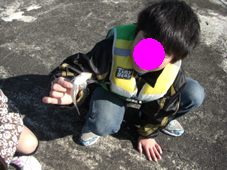 b0096533_2145864.jpg