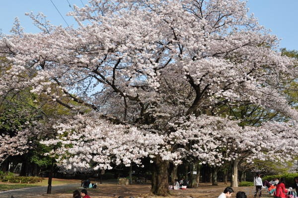 c0133533_22293088.jpg