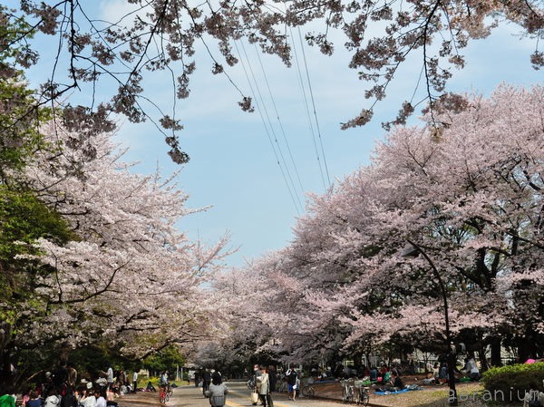 c0133533_22311831.jpg