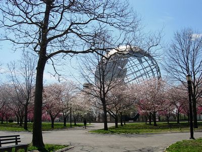 f0200433_0393134.jpg