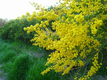 c0134734_23154745.jpg