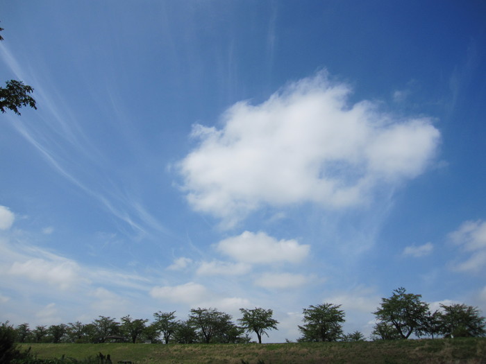 d0088735_13555412.jpg
