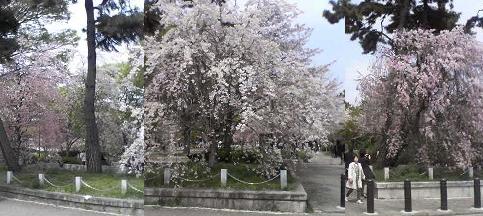 f0237037_1048386.jpg