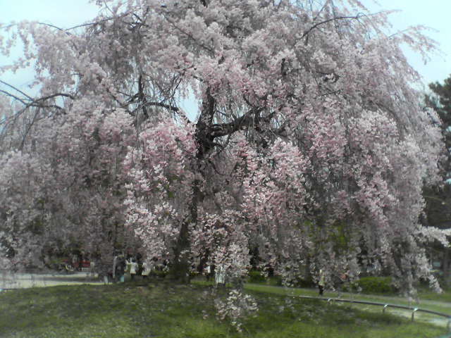 f0237037_10492752.jpg