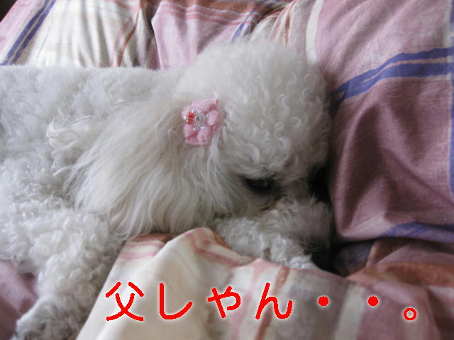 c0117239_9563944.jpg