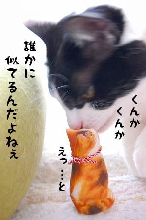 c0181639_20504484.jpg