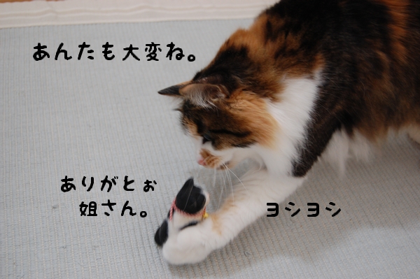 c0181639_20515739.jpg