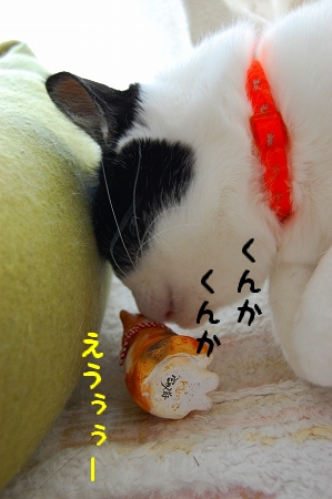 c0181639_2051691.jpg