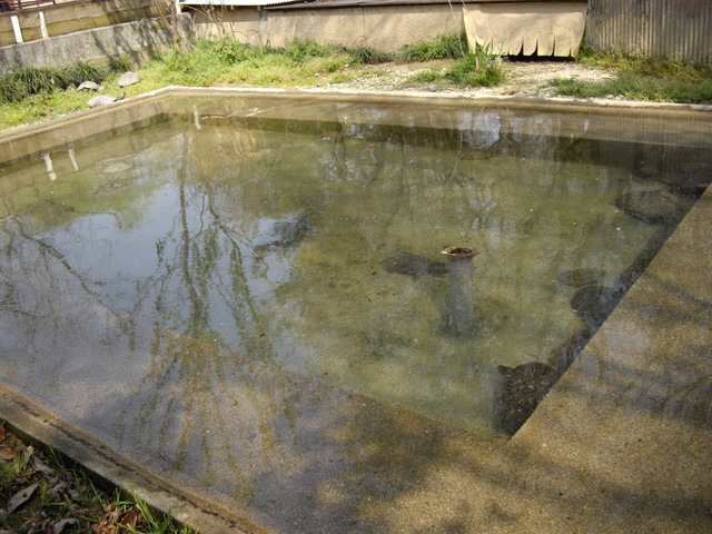e0119439_2334858.jpg