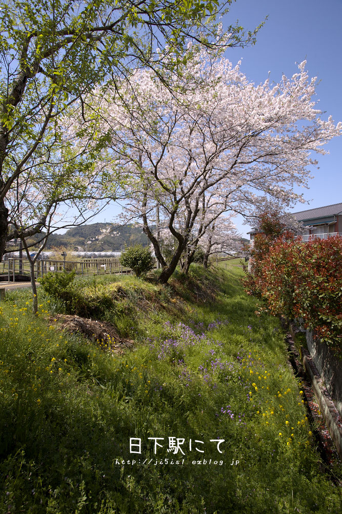 a0078341_7574436.jpg