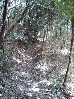 c0059543_1257511.jpg