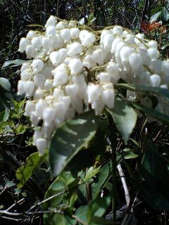 c0059543_12591139.jpg