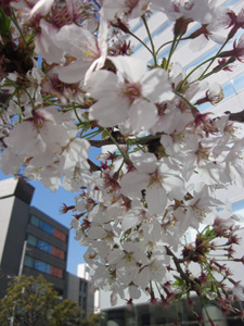 f0143445_0472361.jpg