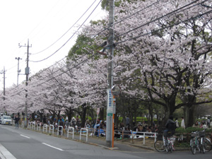 f0143445_0473067.jpg