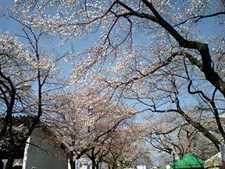 c0011446_22473982.jpg