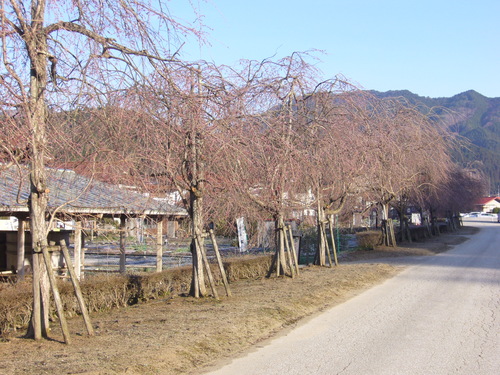 b0174451_781556.jpg