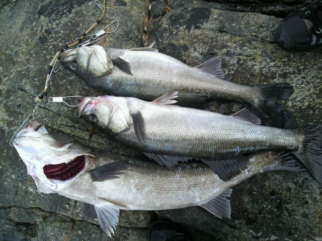 c0019951_2326334.jpg