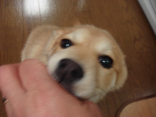 f0046854_22114644.jpg