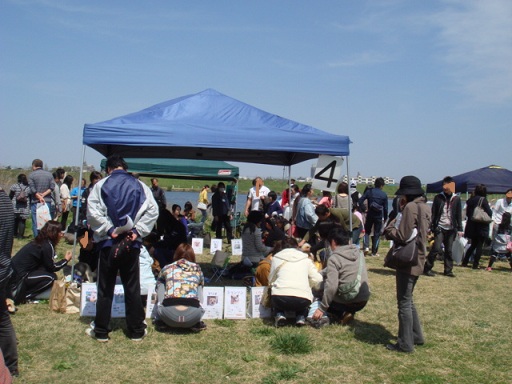 f0046854_2243619.jpg