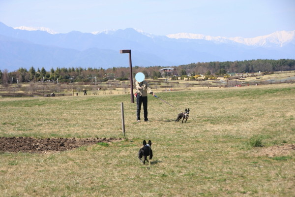 f0160554_20235524.jpg
