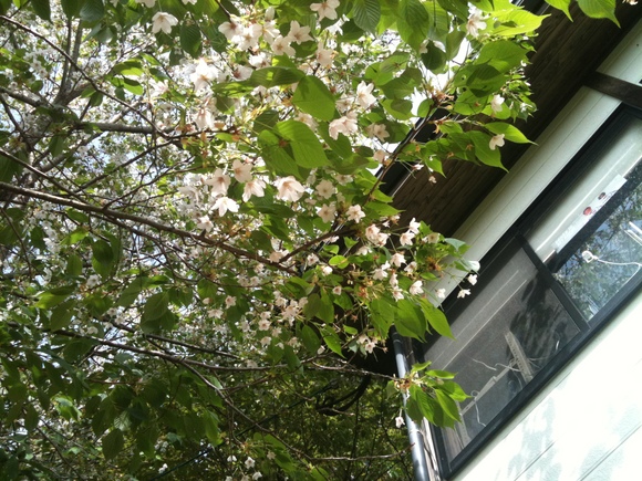 f0201157_1064583.jpg