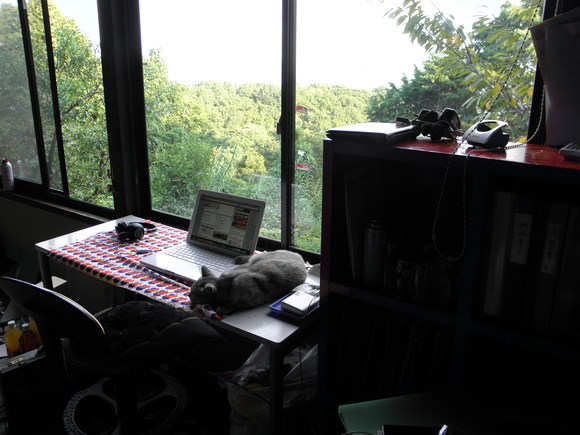 f0201157_1232597.jpg