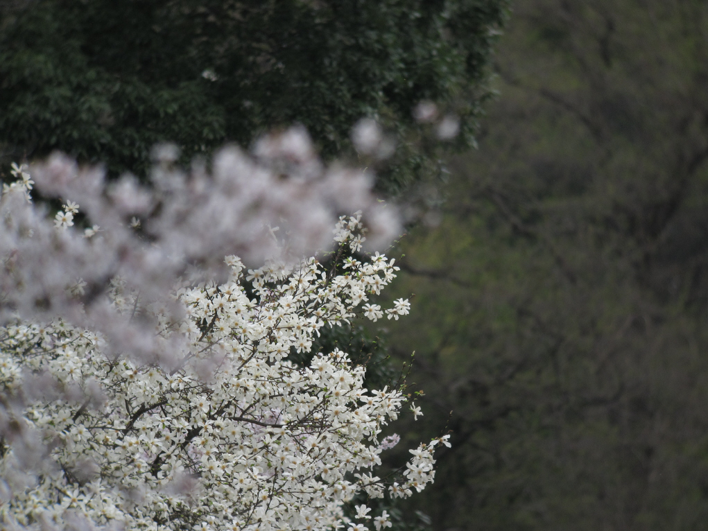 f0230458_16442580.jpg