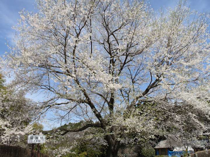 c0178561_2124596.jpg