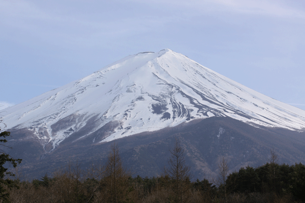 f0107364_21332137.gif