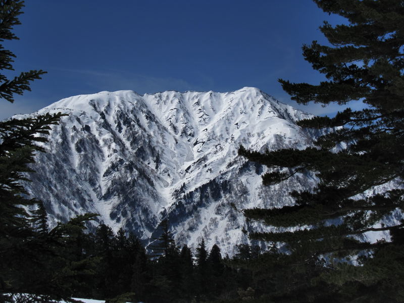 a0196565_1910583.jpg