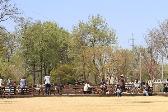 e0062371_20455486.jpg