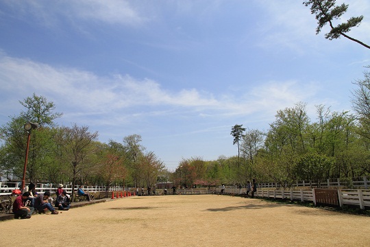 e0062371_2052229.jpg