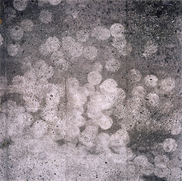 f0115475_21575320.jpg