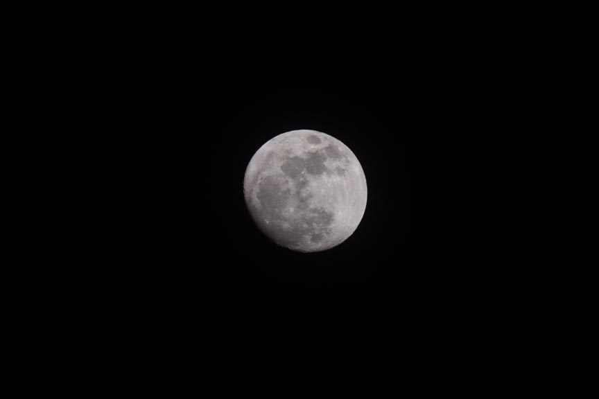 e0214681_18363969.jpg