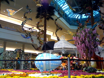 f0174481_017272.jpg