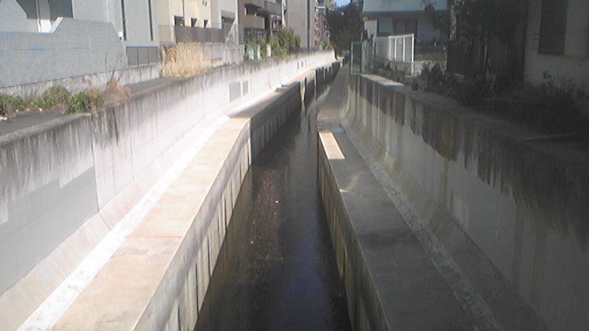 b0017892_13163345.jpg