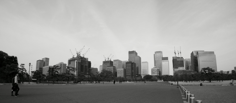 a0185693_233968.jpg