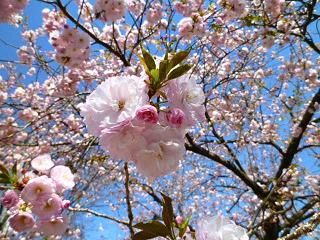 b0052195_2231735.jpg
