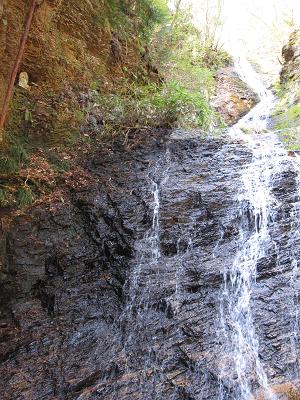 c0118495_22555596.jpg