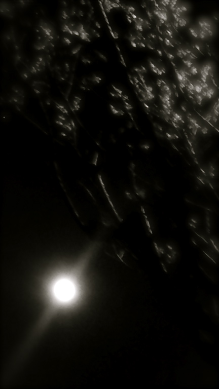 a0199297_22134556.jpg