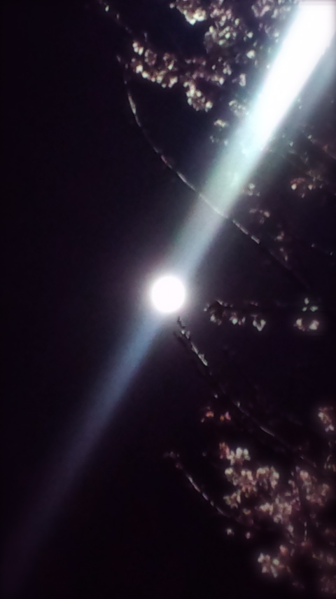 a0199297_2227224.jpg