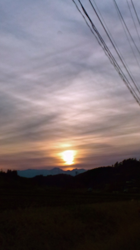 a0199297_22986.jpg
