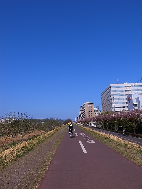 d0081997_2036230.jpg