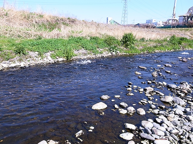 d0081997_2038393.jpg