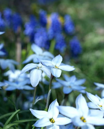 f0153497_8143933.jpg