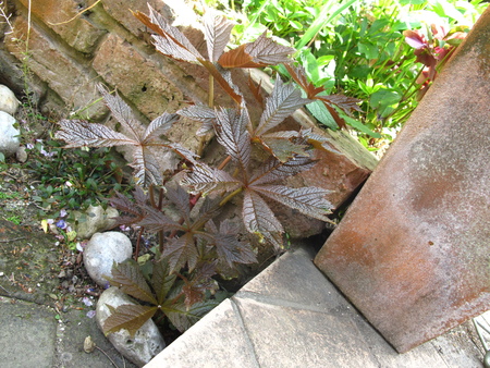 f0178897_19402811.jpg
