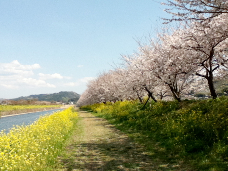 c0129498_154821.jpg