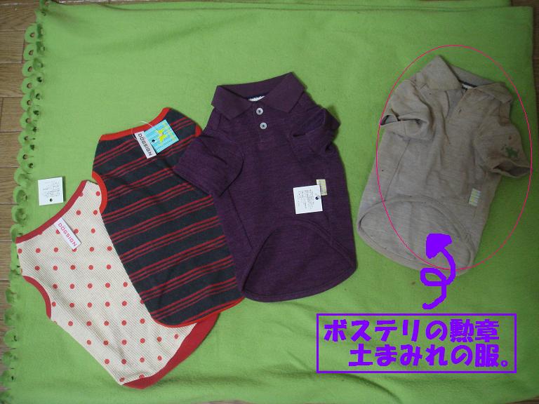 d0218999_21381877.jpg