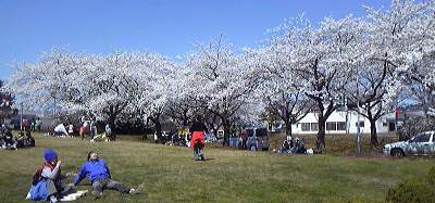 f0237601_2232066.jpg