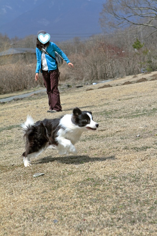 f0034602_17471214.jpg